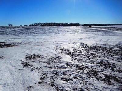 SOLD!!! $7408/ tillable acre - image 7