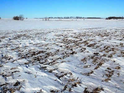 SOLD!!! $7408/ tillable acre - image 2