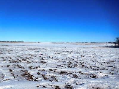 SOLD!!! $7408/ tillable acre - image 5