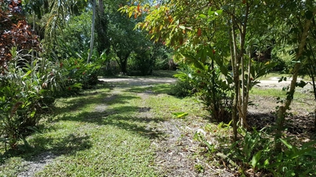 Fully Titled  Caribbean Beach home Big Creek Bocas del Toro - image 4