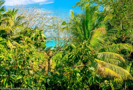 Fully Titled  Caribbean Beach home Big Creek Bocas del Toro - image 16