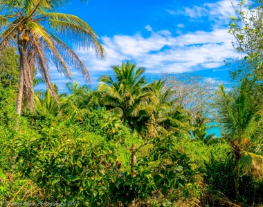 Fully Titled  Caribbean Beach home Big Creek Bocas del Toro - image 18
