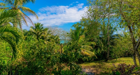 Fully Titled  Caribbean Beach home Big Creek Bocas del Toro - image 15