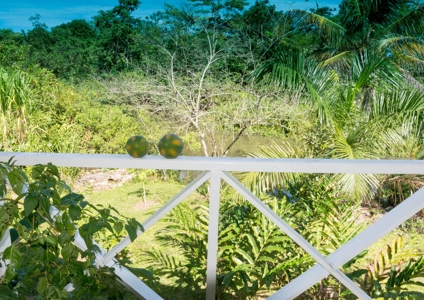 Fully Titled  Caribbean Beach home Big Creek Bocas del Toro - image 14