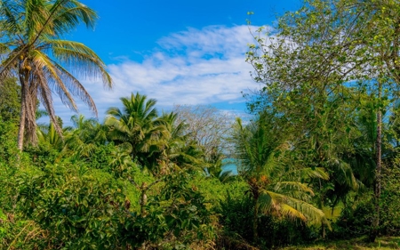 Fully Titled  Caribbean Beach home Big Creek Bocas del Toro - image 17