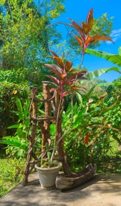 Fully Titled  Caribbean Beach home Big Creek Bocas del Toro - image 11