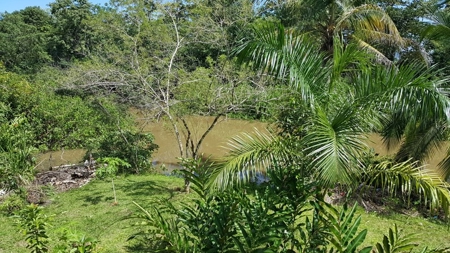 Fully Titled  Caribbean Beach home Big Creek Bocas del Toro - image 7