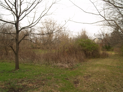 Real Estate Auction - 5 Bedroom Farm House - Delaware, Ohio - image 29