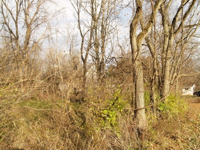 Real Estate Auction - 5 Bedroom Farm House - Delaware, Ohio - image 40