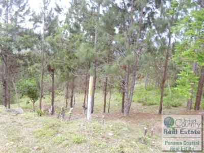 Motivated Seller for Lot in Atlos del Maria - image 8