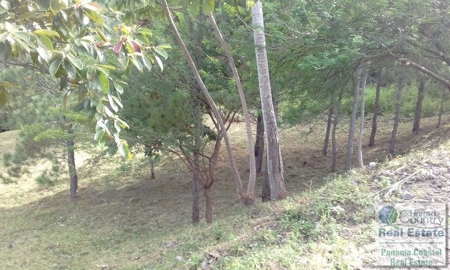 Motivated Seller for Lot in Atlos del Maria - image 5