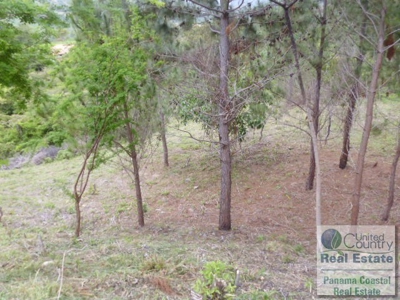 Motivated Seller for Lot in Atlos del Maria - image 6