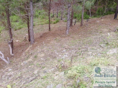 Motivated Seller for Lot in Atlos del Maria - image 7