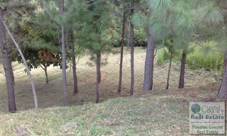 Motivated Seller for Lot in Atlos del Maria - image 4
