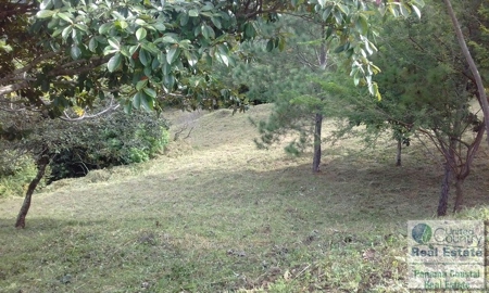 Motivated Seller for Lot in Atlos del Maria - image 3