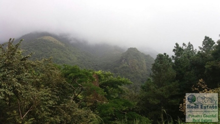 Motivated Seller for Lot in Altos Del Maria - image 3