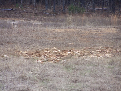 Timber, Ponds And Meadows In Blythewood, Sc - image 10