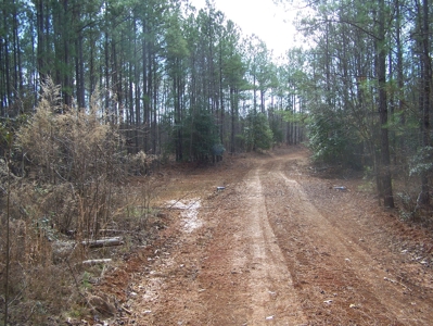 Timber, Ponds And Meadows In Blythewood, Sc - image 8