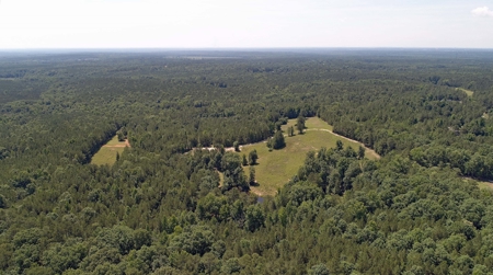 Timber, Ponds And Meadows In Blythewood, Sc - image 30