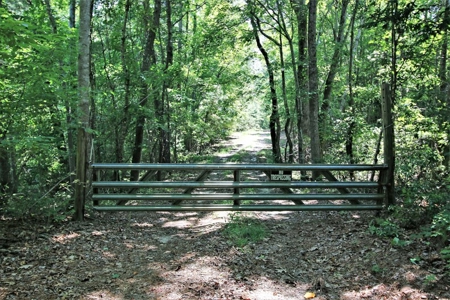 Timber, Ponds And Meadows In Blythewood, Sc - image 31