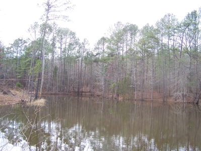 Timber, Ponds And Meadows In Blythewood, Sc - image 7