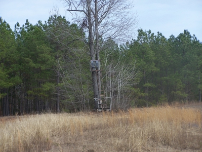 Timber, Ponds And Meadows In Blythewood, Sc - image 9