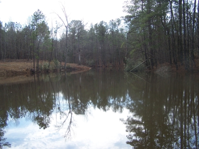 Timber, Ponds And Meadows In Blythewood, Sc - image 11
