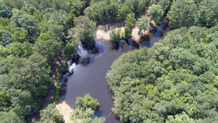 Timber, Ponds And Meadows In Blythewood, Sc - image 27