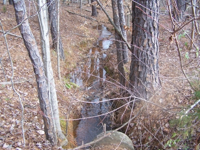 Timber, Ponds And Meadows In Blythewood, Sc - image 3