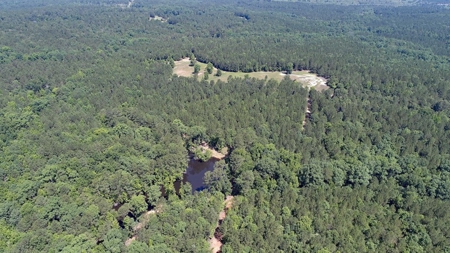 Timber, Ponds And Meadows In Blythewood, Sc - image 26