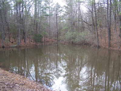 Timber, Ponds And Meadows In Blythewood, Sc - image 17