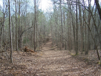 Timber, Ponds And Meadows In Blythewood, Sc - image 23