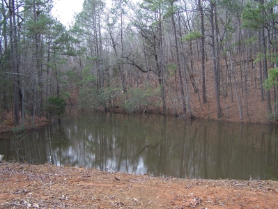 Timber, Ponds And Meadows In Blythewood, Sc - image 15
