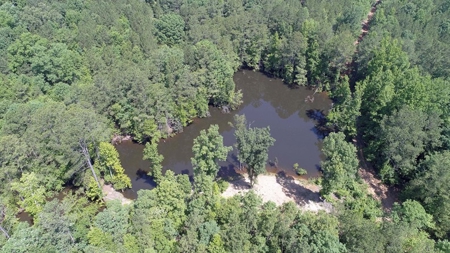 Timber, Ponds And Meadows In Blythewood, Sc - image 29