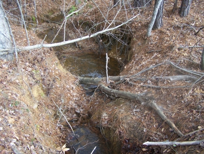 Timber, Ponds And Meadows In Blythewood, Sc - image 13