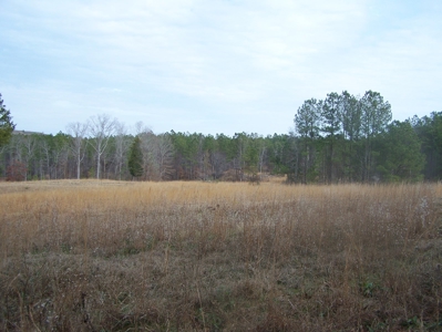 Timber, Ponds And Meadows In Blythewood, Sc - image 1