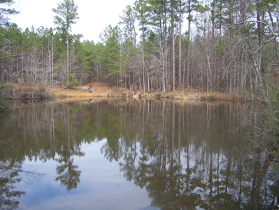 Timber, Ponds And Meadows In Blythewood, Sc - image 16
