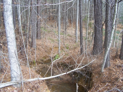 Timber, Ponds And Meadows In Blythewood, Sc - image 14