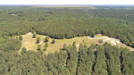 Timber, Ponds And Meadows In Blythewood, Sc - image 28