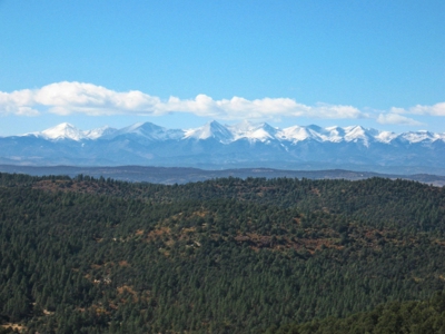 Mountain home, guest home on acreage for sale in Trinidad CO - image 39