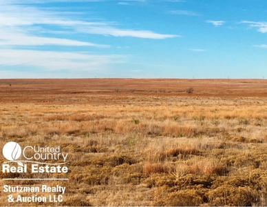 320 +/- ACRES GRASS / HUNTING PROPERTY in GRANT COUNTY, KS - image 4