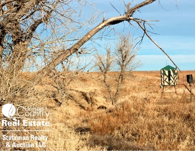 320 +/- ACRES GRASS / HUNTING PROPERTY in GRANT COUNTY, KS - image 2