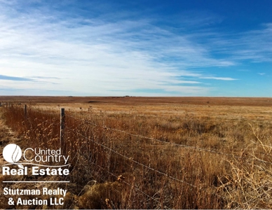 320 +/- ACRES GRASS / HUNTING PROPERTY in GRANT COUNTY, KS - image 3