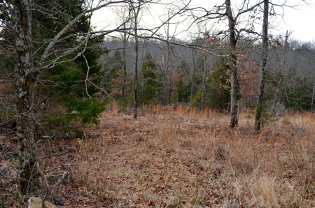 Franklin County Missouri 88.7 +/- Acre Recreational Property - image 27