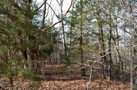 Franklin County Missouri 88.7 +/- Acre Recreational Property - image 35