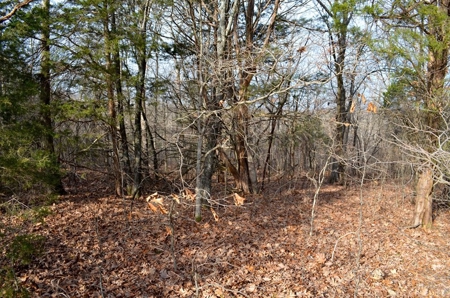 Franklin County Missouri 88.7 +/- Acre Recreational Property - image 34