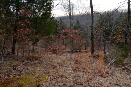 Franklin County Missouri 88.7 +/- Acre Recreational Property - image 28