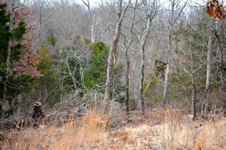 Franklin County Missouri 88.7 +/- Acre Recreational Property - image 29