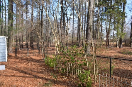 3 Bedroom Home on 3.69 Acres Hartselle, Alabama - image 15