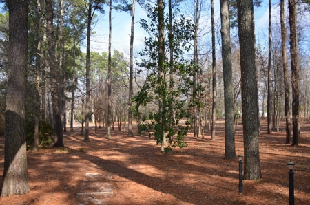 3 Bedroom Home on 3.69 Acres Hartselle, Alabama - image 22